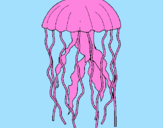 Disegno Medusa  pitturato su fiby