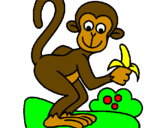 Disegno Scimmietta  pitturato su ROSSO 