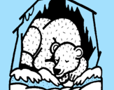 Disegno Orso in ibernazione pitturato su niccolò