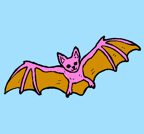 Pipistrello in volo 