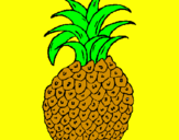 Disegno ananas  pitturato su meca