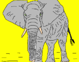 Disegno Elefante  pitturato su Annibale!