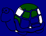 Disegno Tartaruga  pitturato su causalbertomangionesimone