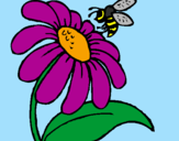 Disegno Margherita con ape  pitturato su Rebecca