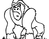 Disegno Gorilla pitturato su gabriella