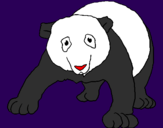 Disegno Orso panda  pitturato su titti