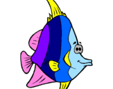 Disegno Pesce tropicale  pitturato su ab