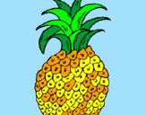 Disegno ananas  pitturato su ANANAS