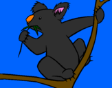 Disegno Koala  pitturato su CAMILLA