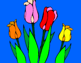 Disegno Tulipani  pitturato su giada