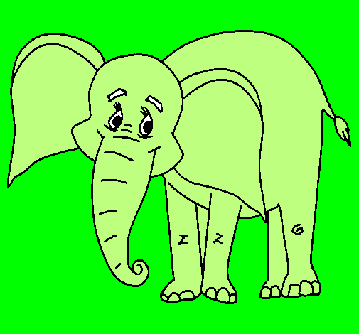 Elefante felice 