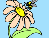 Disegno Margherita con ape  pitturato su Ely