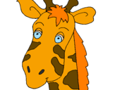 Disegno Muso di giraffa pitturato su NICOLA