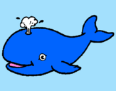 Disegno Balena che spruzza  pitturato su balena