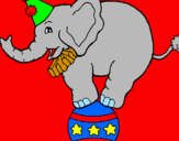Disegno Elefante sulla palla  pitturato su giaele e rebecca