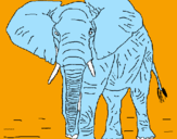 Disegno Elefante  pitturato su maurizio fuselli