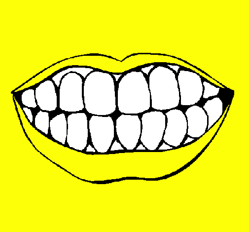 Bocca e denti 