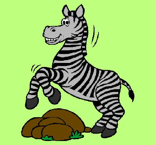 Zebra che salta sulle pietre 