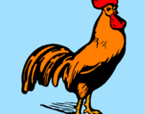 Disegno Gallo gagliardo  pitturato su margarita