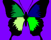 Disegno Farfalla con le ali nere pitturato su nicola