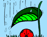 Disegno Coccinella protetta dalla pioggia  pitturato su salvo viviano