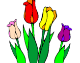 Disegno Tulipani  pitturato su ali