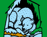 Disegno Orso in ibernazione pitturato su nico