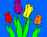Disegno Tulipani  pitturato su MATTEO   8   ANNI