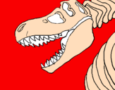 Disegno Scheletro di Tyrannosaurus rex pitturato su valerio