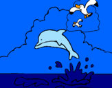 Disegno Delfino e gabbiano  pitturato su giulia