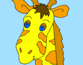 Disegno Muso di giraffa pitturato su Matteo