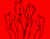 Disegno Tulipani  pitturato su ludo