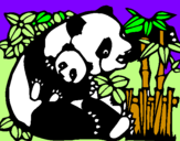 Disegno Mamma panda  pitturato su GIOIA