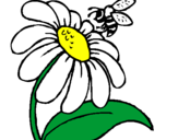 Disegno Margherita con ape  pitturato su margheri
