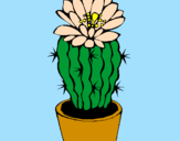 Disegno Cactus fiorito  pitturato su Luna
