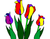 Disegno Tulipani  pitturato su titti