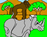 Disegno Rinoceronte e scimmietta  pitturato su luca