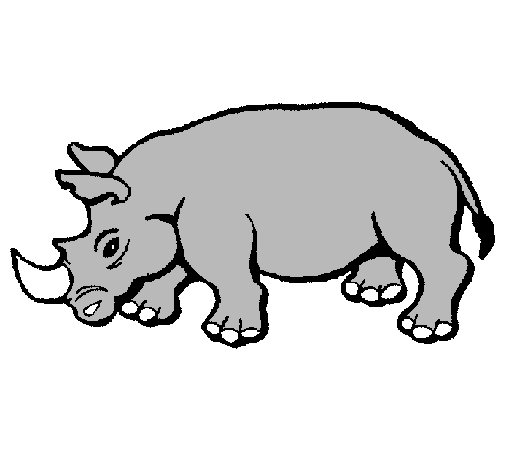Rinoceronte 