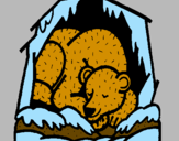Disegno Orso in ibernazione pitturato su daiana