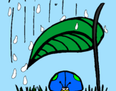 Disegno Coccinella protetta dalla pioggia  pitturato su Giada LPN