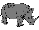 Disegno Rinoceronte  pitturato su Alejandro