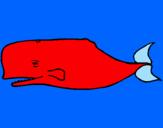 Disegno Balena blu pitturato su younes