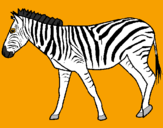 Disegno Zebra  pitturato su alic e