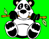 Disegno Orso panda  pitturato su Giulia