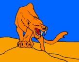 Disegno Tigre con affilati canini  pitturato su andr j