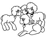 Disegno Pecore pitturato su sara
