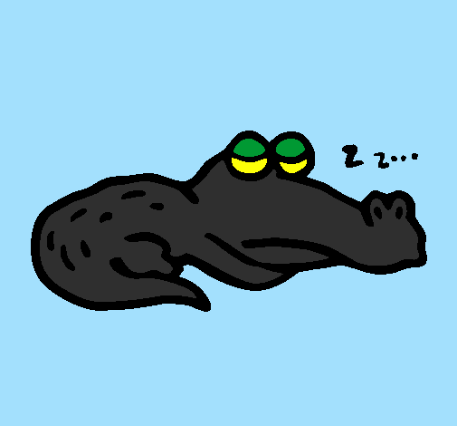 Coccodrillo addormentato 