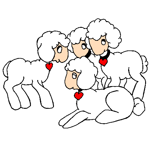 Pecore