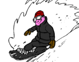 Disegno Discesa in snowboard  pitturato su michele