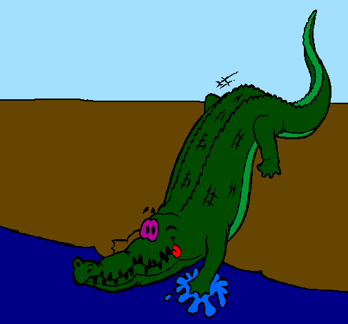 Alligatore che entra nell'acqua 